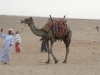 Cairo Giza_0118.jpg